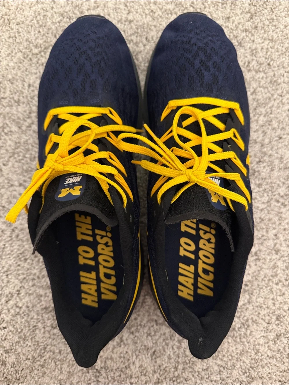 Nike Men’s Michigan Wolverines Sneakers size 11.5